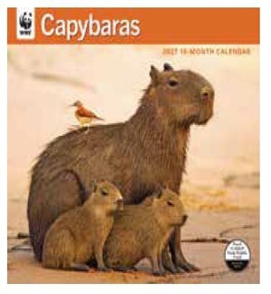 CALENDAR/WWF Capybaras