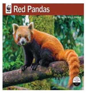 CALENDAR/WWF Red Pandas