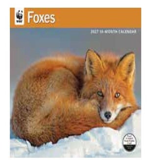 CALENDAR/WWF Foxes