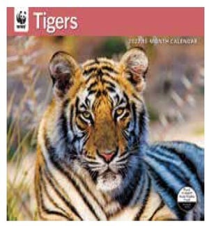 CALENDAR/WWF Tigers