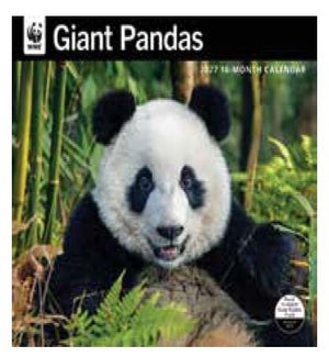 CALENDAR/WWF Giant Pandas