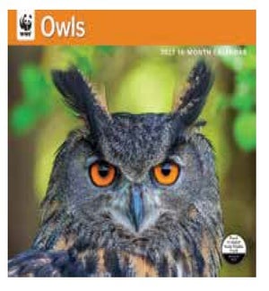 CALENDAR/WWF Owls