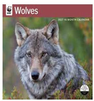 CALENDAR/WWF Wolves