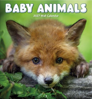 CALENDAR/BABY ANIMALS