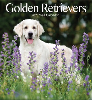 CALENDAR/GOLDEN RETRIEVERS