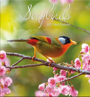 CALENDAR/SONGBIRDS