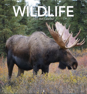 CALENDAR/WILDLIFE