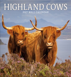 CALENDAR/HIGHLAND COWS