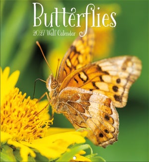 CALENDAR/BUTTERFLIES