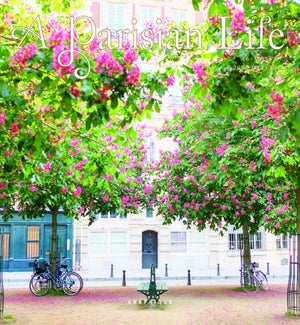 CALENDAR/A Parisian Life