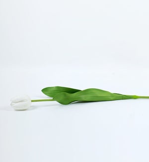 FAUXPLANT/Tulip - 2x6" Wh