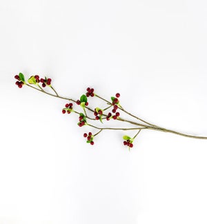 PLANT/Faux Ficus - 36"
