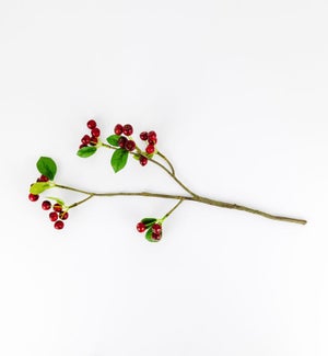 PLANT/Faux Ficus - 16"