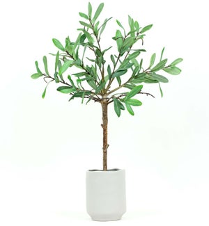 FAUXPLANT/Olive Tree - 22"