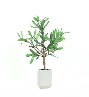 FAUXPLANT/Olive Tree - 18"