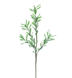 FAUXPLANT/Olive Branch - 39"