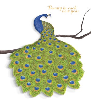 BD/Peacock Birthday