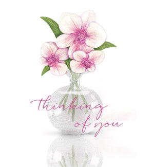 TH/Thinking Of You Orchids