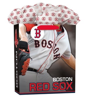 LGGOGOBAG/Boston Red Sox