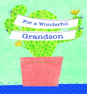 RBD/For A Wonderful Grandson