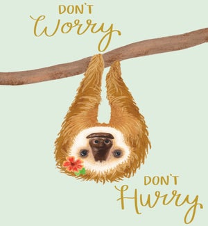 JOURNAL/Sloth