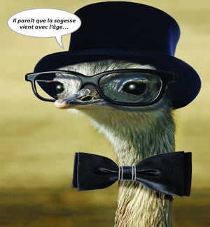 BDFR/Il Paraît Que La Sagesse