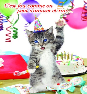 BDFR/C’Est Fou Comme OnPeut