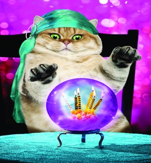 BDFR/Chat Avec Boule