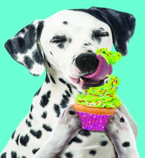 BDFR/Chien Avec Cupcake