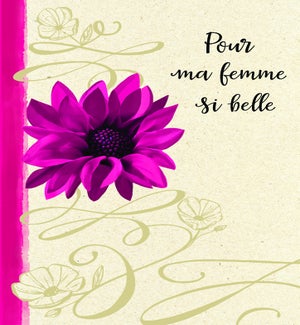ANFR/Pour Ma Femme Si Belle