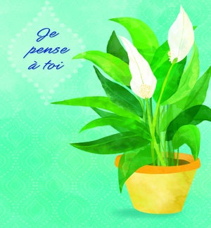 GWFR/Je Pense À Toi