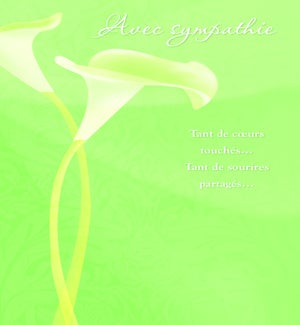 SYFR/Avec Sympathie