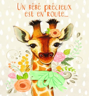 NBFR/Un Bebe Precieux