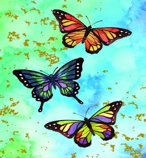 BL/Papillon