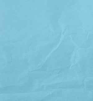 TISSUE/Light Blue