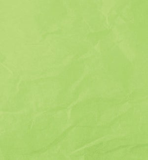 TISSUE/Light Green