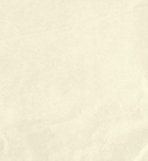TISSUE/Ivory
