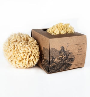 SPONGE/Small 4.5" - Gift Box