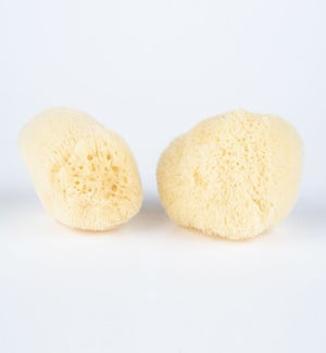 SPONGE/Silk Sponge 2.5-3"