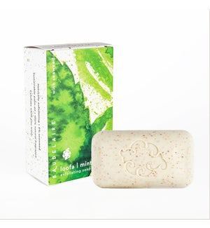 SOAP/Mint Loofah Box 5oz