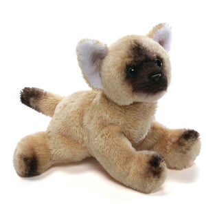 CAT/Rag Doll – Russ 5"