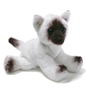 CAT/Siamese – Cindy 5"