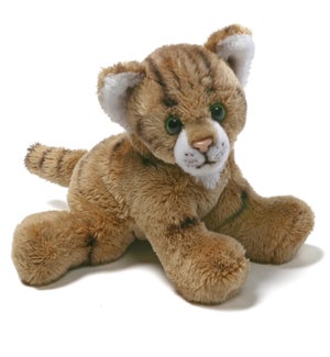 CAT/Ginger – Terry 5"