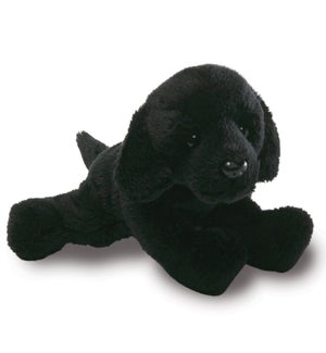 DOG/Black Lab – Alfonso 5"