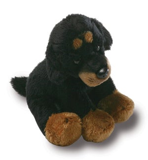 DOG/Rottweiler – Raymond 5"