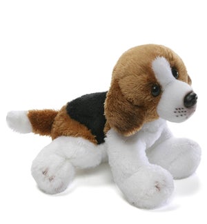 DOG/Beagle – Anthony 5"
