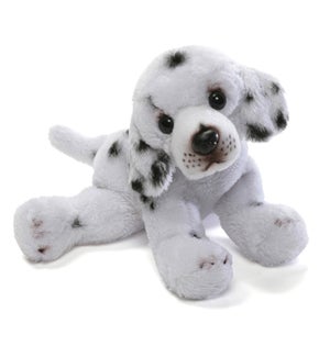 DOG/Dalmatian – David 5"