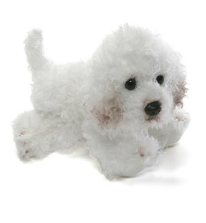 DOG/Bichon – Mei 5"