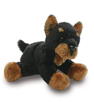 DOG/Doberman – Daniel 5"