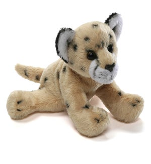 CHEETAH/Freddy - 5"
